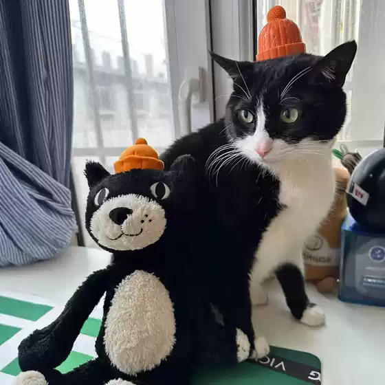 in stock Cute Geely Cat Black Jelly Cat Plush Toy Cute Large Doll Sleeping Doll Activities Wholesale