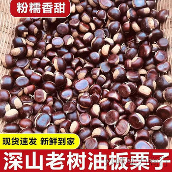 Fresh Dandong Raw Chestnuts 5kg Seasonal Large Chestnuts Raw Chestnut Wild Large Hairy Chestnuts Wholesale Non-Mianxi