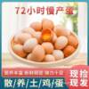Freshly Picked and Shipped Farm-Raised Free-Range Eggs, Nutritious Cordyceps Eggs, Whole Box of 40 Eggs Per Box