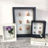 Three-Dimensional Hollow 7cm Storage Specimen Butterfly Insect Shell Handmade DIY Dried Flower Wooden Photo Frame Table Can Be Hung on the Wall