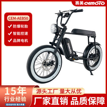 Cross-Border Foldable Electric Assist Bicycle Fat Tire Scooter 48V Lithium Battery Long Seat Electric Bicycle