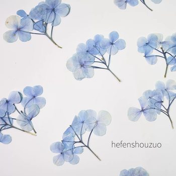 Hydrangea with Branches of Primary Color Dried Flowers Holding Flowers Real Flowers Baffles Fire Paint Seal DIY Material Gel Dropping Mobile Phone Shell