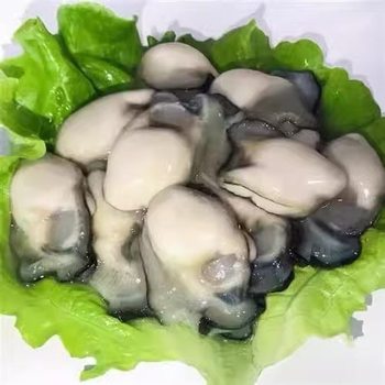 Zhongshentang Exclusive Oyster Meat, Fresh Large Sea-Caught Oysters, Oyster Seeds, Barbecue Hot Pot Ingredients, Shellfish and Aquatic Products