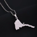 Steel color necklace f