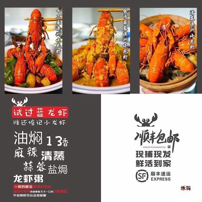 Australian Crayfish Fresh Blue Dragon Freshwater Cultured 0.05kg or More Large Live Lobsters 2.5kg Pack Sf Free Shipping