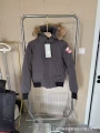 Goose gray