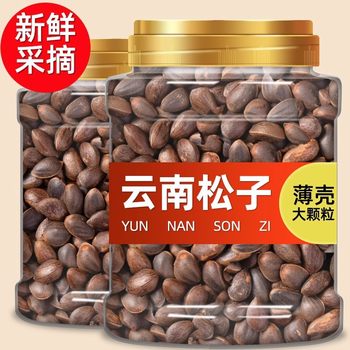Yunnan Pine Nuts 500g Bulk Large Kernels Fresh Hand-Peeled Nuts Snacks Whole Box Commercial Use