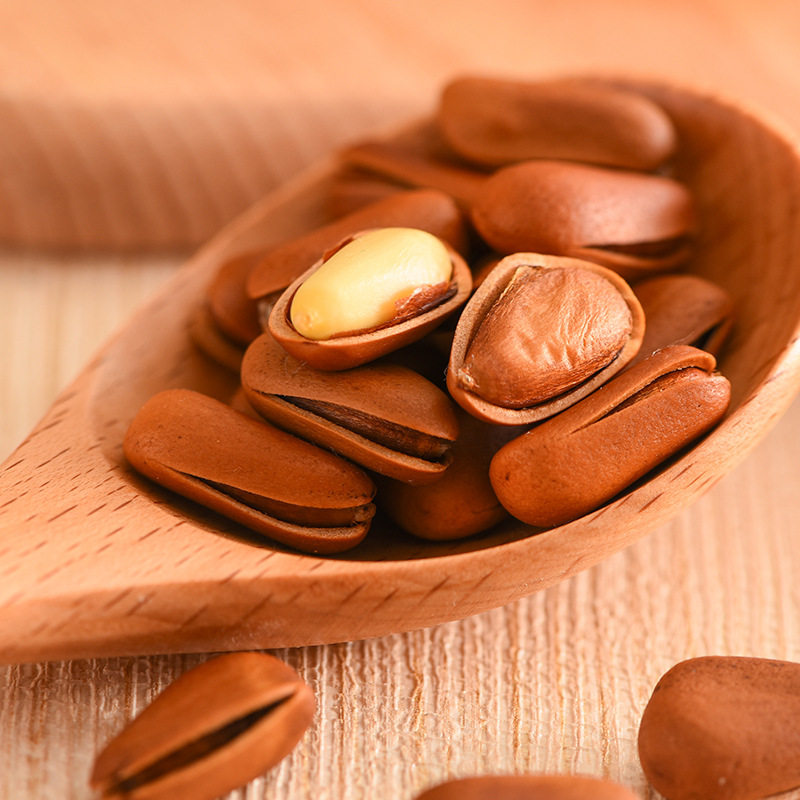 Bean Bear - 500g Canned New Product Opening Northeast Pine Nuts Net Content Wholesale