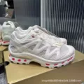 Year of the snake limited