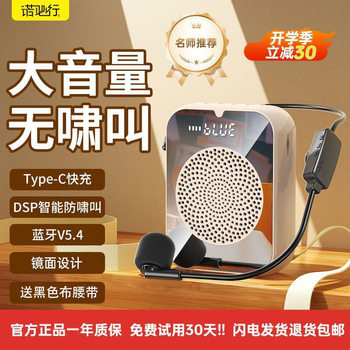 True Wireless Headset | Amplifier Volume Without Howling Teacher Class Little Bee Portable Conference Microphone