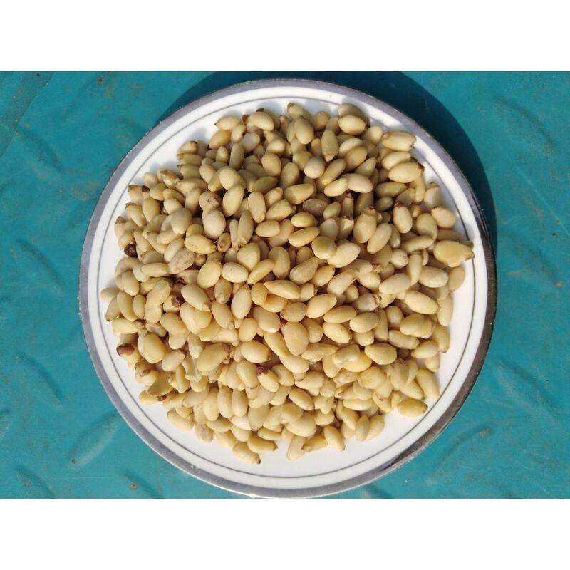 Shelled Pine Nuts, Pine Nuts, Pine Nut Kernels, Sea Pine Nuts Wholesale and Delivery