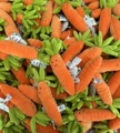 Carrot pendant