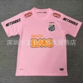 1213 santos pink