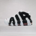 [air cushion style] black and white panda