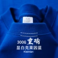 [300g heavyweight t-shirt] klein blue