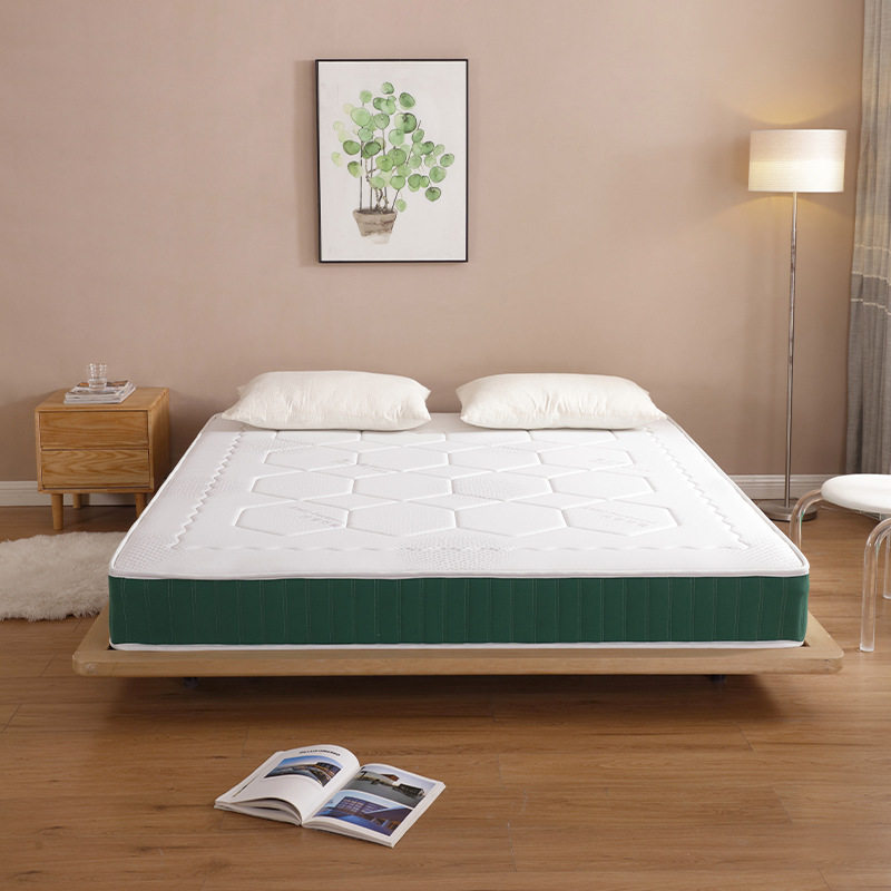Ice Silk Winter and Summer Dual-Purpose Mattress, Soft and Hard, Can Be Used on Both Sides, Simmons 22cm Spring Mattress, Home Rental, Customizable