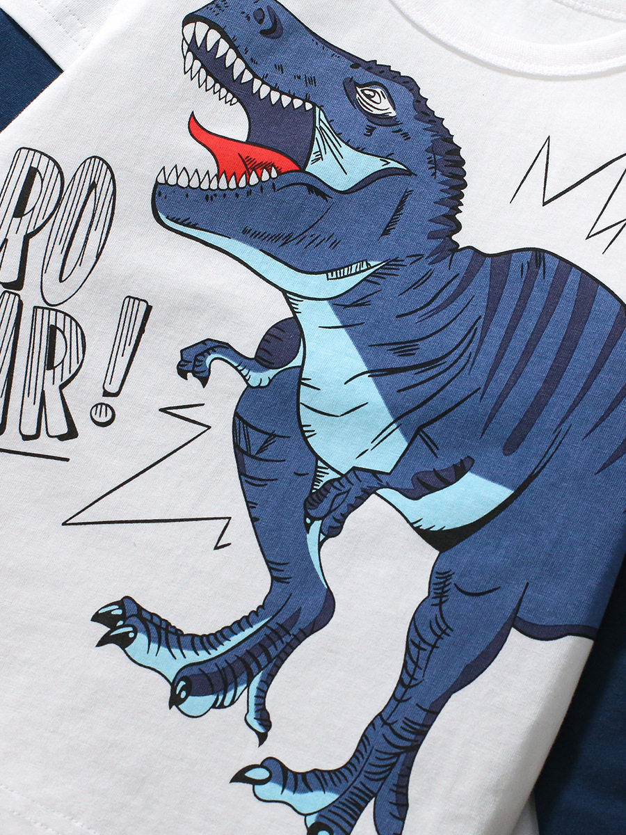 Boys' Autumn Cartoon Set from Source Factory, Cotton Two-Piece Outfit