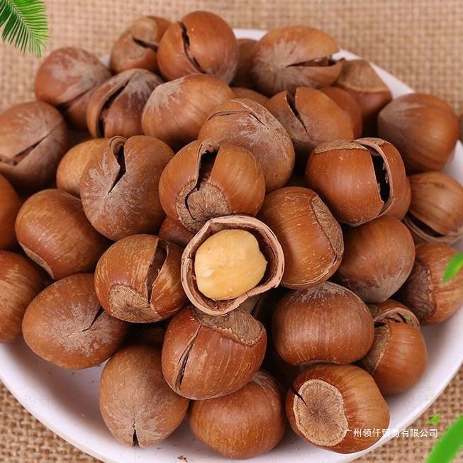 New Northeast Net Weight Large Hazelnuts with Thin Shells, Original Roasted Nuts Specialty Bagged Wholesale Price Snacks