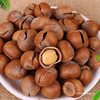 New Northeast Net Weight Large Hazelnuts with Thin Shells, Original Roasted Nuts Specialty Bagged Wholesale Price Snacks
