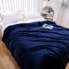 New 500g Simple Double-Sided Thickeneded Technology Warm Velvet Blanket Dormitory Lunch Break Blanket Single and Double Bed Home Blanket
