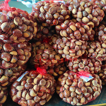 Guizhou High Mountain Chestnut Fragrant Soft Powder Noodles Fresh Chestnut Beige Meat Oil Chestnut Sugar Fried Chestnut Raw Material Whole Box Wholesale