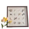 Three-Dimensional Hollow Photo Frame Seaside Shell Conch DIY Specimen Dried Flower Table Creative Handmade Gift Commemorative Photo Frame