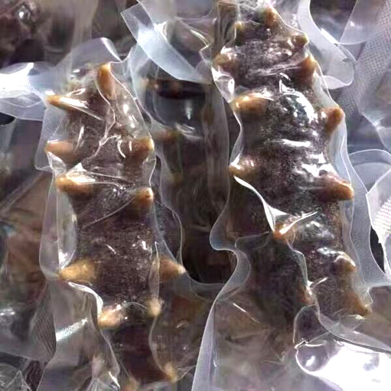 Ready-To-Eat Sea Cucumber Dalian Wild Sea Cucumber Fresh Non-Dried Aquatic Frozen Food Health Care Bulk Bag