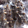 Ready-To-Eat Sea Cucumber Dalian Wild Sea Cucumber Fresh Non-Dried Aquatic Frozen Food Health Care Bulk Bag
