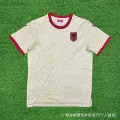2627 albania away game