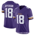 Vikings 18 purple