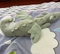 Qinglong 50cm