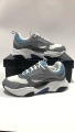 B22 gray blue