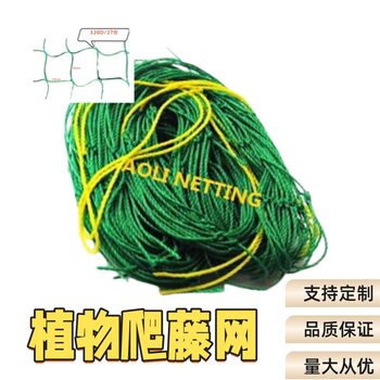 Home Gardening Plant Climbing Net Enhanced 320D/27 Strands 0.8m*5.0m Durable Flower Greenhouse Film