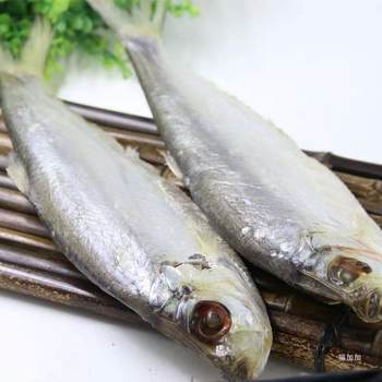 New Arrival White Scale Fish, White Scale Fish Salted Fish 1000g, Dried Salted Fish, Steamed Fish, Sea Fish, White Phosphorus Fish, 50% Dried