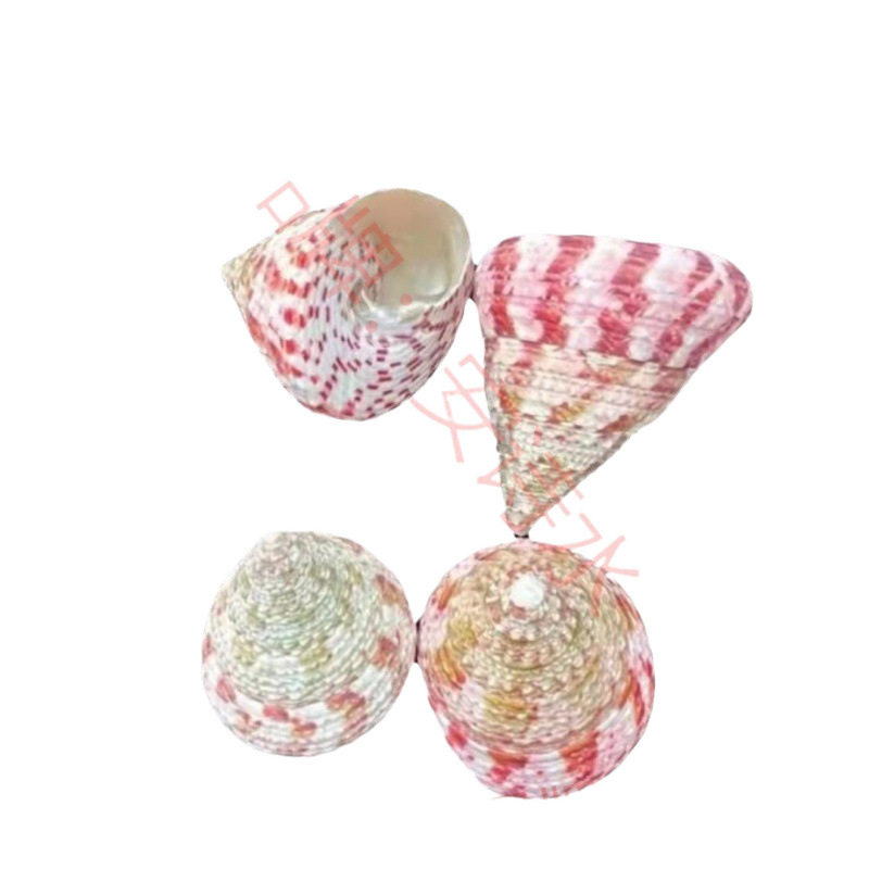 Micro-Landscape Wholesale Conch Shells, Mediterranean Accessories, Various Materials, Drift Bottles, Decorative Fish Tank Landscaping by the Pound