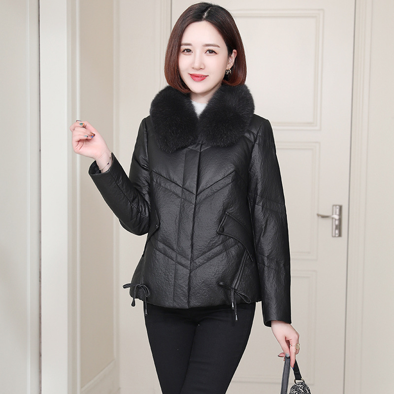 (Mới) Mã G2586 Giá 6290K: Áo Da Dê Nữ Hadlo Hàng Mùa Xuân Thu Đông Thời Trang Nữ Chất Liệu Da Bò G06 Sản Phẩm Mới, (Miễn Phí Vận Chuyển Toàn Quốc).