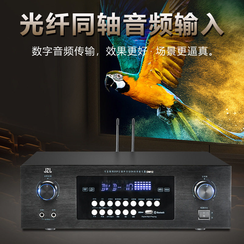 Wholesale 110V220 Voltage Bluetooth Amplifier Ktv Anti-Howling Heavy Bass Home Karaoke Amplifier Taiwan Europe and the United States