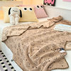 Double-Sided Milk Velvet Blanket Office Sofa Blanket Children's Small Blanket Nap Blanket Cartoon Thickened Shawl Cover Velvet Blanket