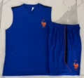 2627 vest - french iris