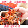 Fresh Crayfish Wholesale 234 Yuan Small Shrimp Hubei Qingshui Cultured Restaurant Catering Commercial Aquatic Live Shrimp Green Shrimp