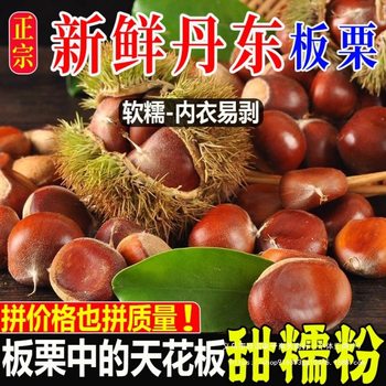 Freshly Picked Dandong Chestnuts 2.5kg Chestnut Cones Oil Chestnut Kernels Vegetable Luo Tian Shelled Seasonal Origin