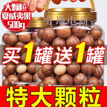New Arrival Macadamia Nut Cream Flavor 500g Dried Nuts Bulk New Year Snacks for Pregnant Women Wholesale Including Cans 1g