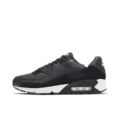 Max90 black and white gray