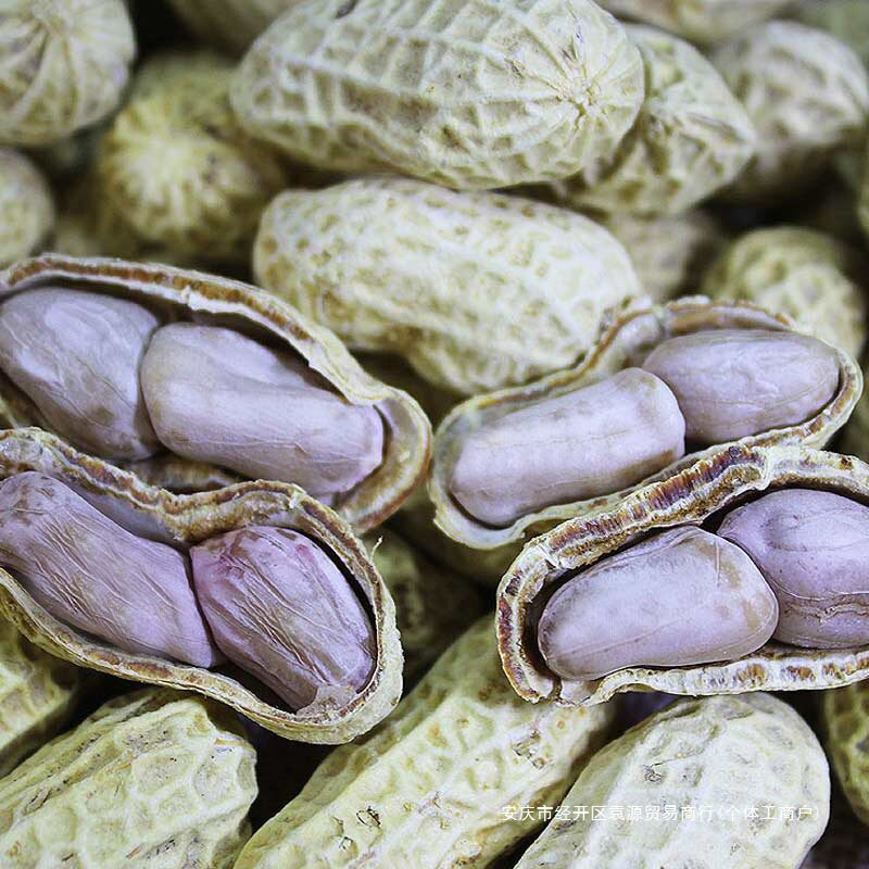 New Boiled Peanuts, Sun-Dried Peanuts, Original Flavor, Shelled Garlic-Flavored Five-Flavor Boiled Peanuts, Sun-Dried Melon Seeds and Peanuts