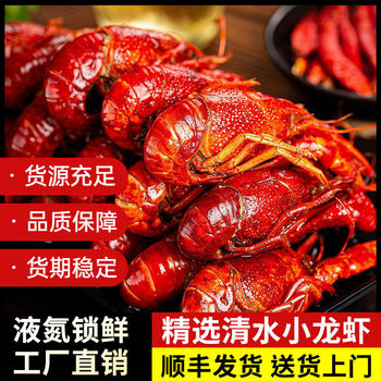 Freshwater Crayfish 3-5 Yuan Liquid Nitrogen Quick-Frozen Fresh Shrimp Medium-Sized Crayfish Catering Commercial New Shrimp Whole Box Wholesale