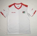 24/25 palestine national team away game
