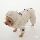 Корейская версия зимней одежды для домашних собак Teddy vip small dog, одежда для четвероногих, толстая пуховая хлопчатобумажная одежда для сохранения тепла и холода mini 3
