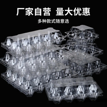 Plastic Transparent Shockproof Egg Tray Medium Size Various Specifications Disposable Egg Packaging Box Factory Direct Sale