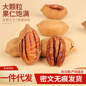 Wholesale New Arrival of 500g Hand-Peeled Pecan Nuts with Creamy Flavor, Longevity Nuts, Large-Sized Snacks, Large Package Nuts