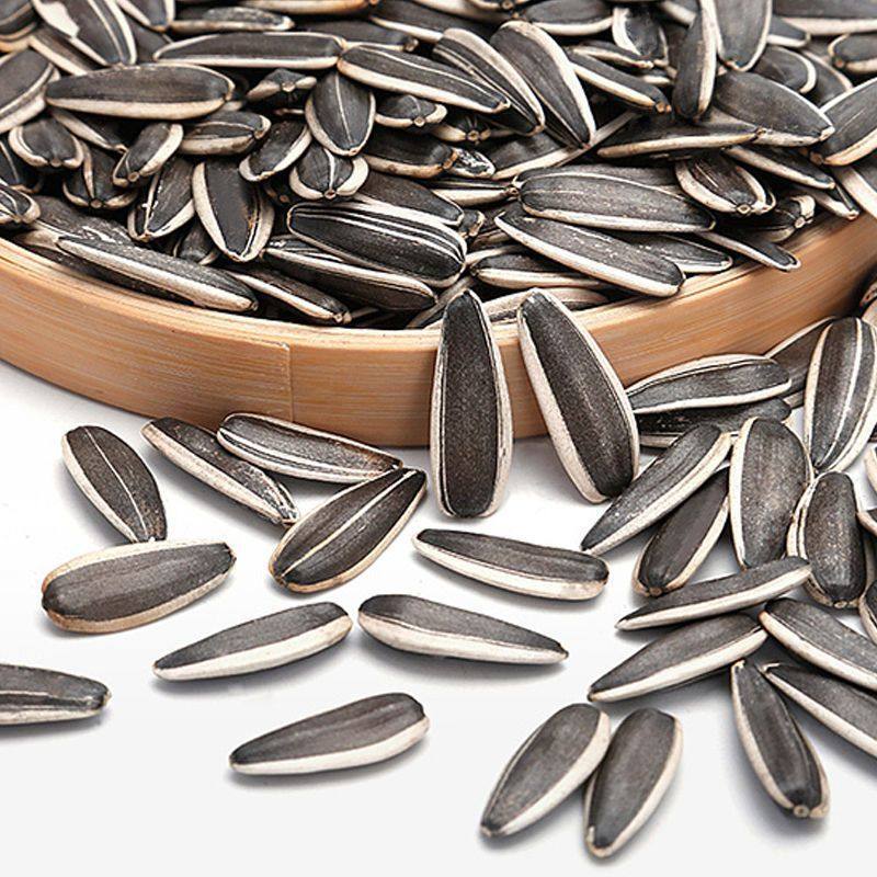 New Arrival Raw Sunflower Seeds from Inner Mongolia, Fresh Original Flavor, Large Kernels, Freshly Roasted and Ready-To-Eat Snacks Wholesale